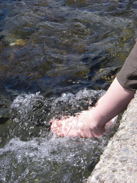 【写真：川に足を浸す】